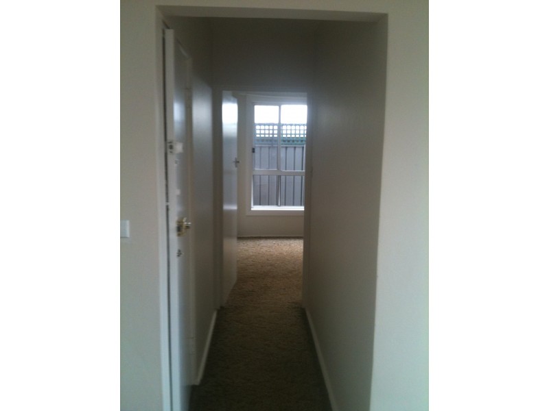 3/454 NEW CANTERBURY RD, Dulwich Hill NSW 2203