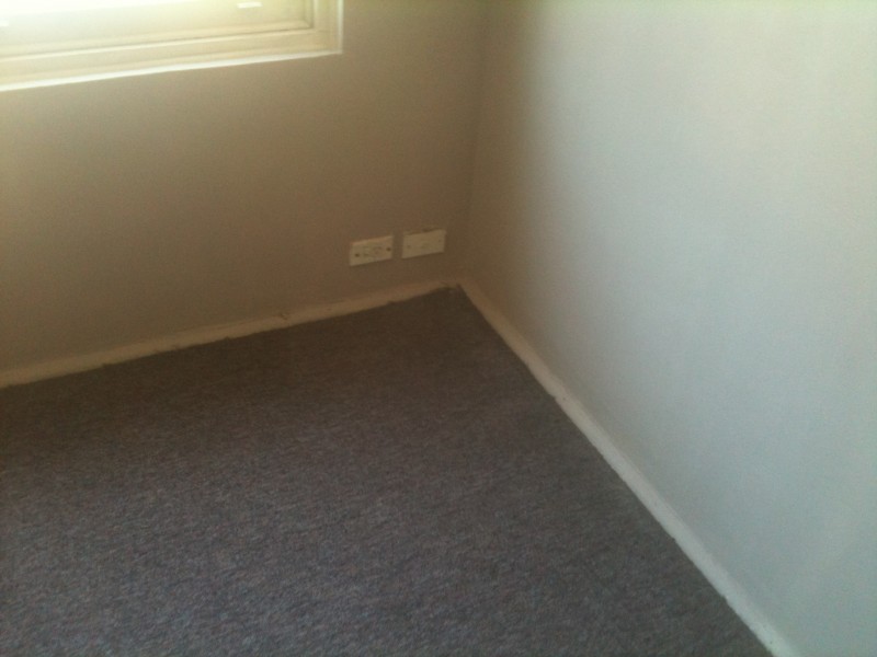 2/2A WOODCOURT ST, Marrickville NSW 2204