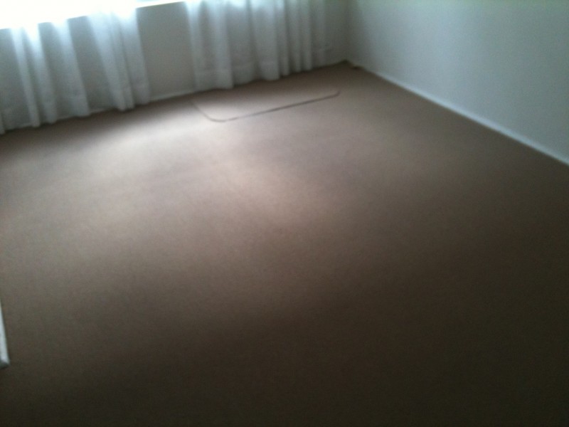 3/2A WOODCOURT ST, Marrickville NSW 2204