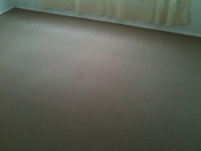 3/2A WOODCOURT ST, Marrickville NSW 2204