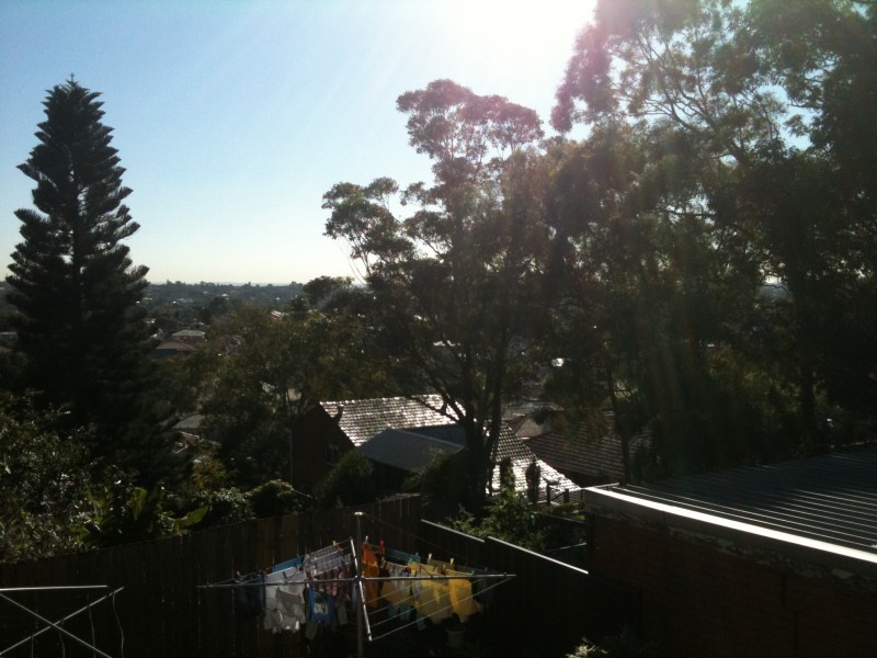 3/167 HOMER ST, Earlwood NSW 2206