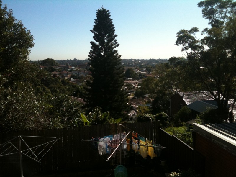 3/167 HOMER ST, Earlwood NSW 2206