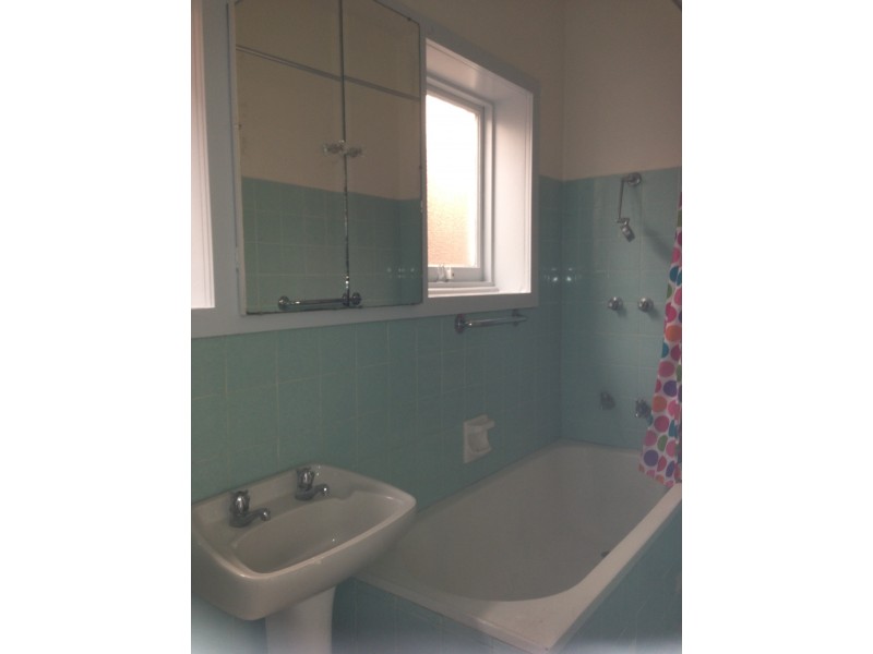 29 PIGOTT STREET, Dulwich Hill NSW 2203