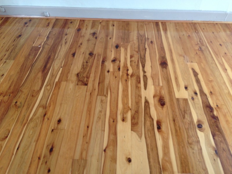 188 DENISON RD, Dulwich Hill NSW 2203