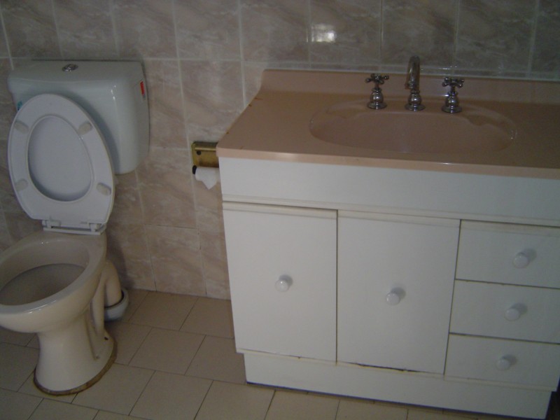 129 HOMER STREET, Earlwood NSW 2206