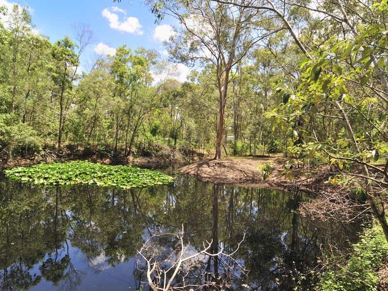 10 First Ave, Barellan Point QLD 4306