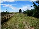 4 Lagoon Rd, Trentham VIC 3458