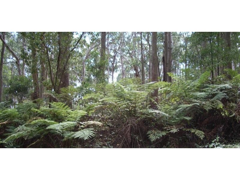 745 Blackwood Rd, Newbury VIC 3458