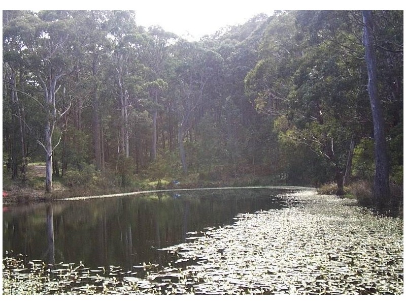 745 Blackwood Rd, Newbury VIC 3458