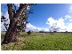 174 Newtons Lane, Trentham VIC 3458