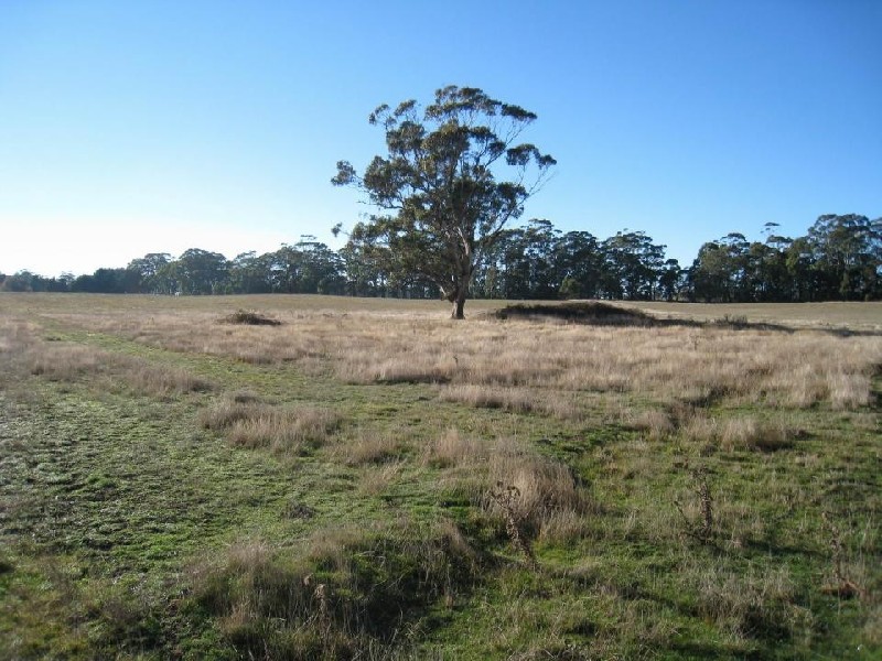 145 Trentham Kyneton Rd, Trentham VIC 3458