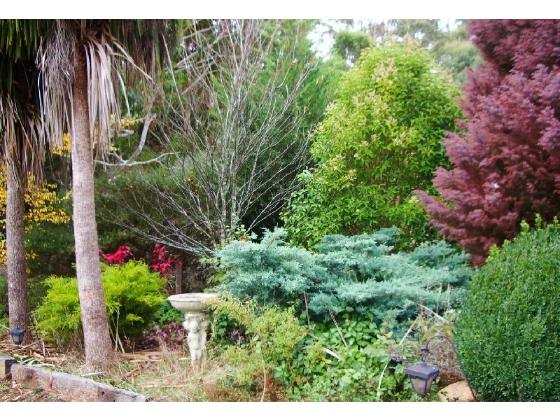 10 Railway Avenue, Lyonville VIC 3461