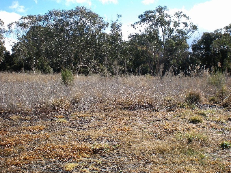 Wallerawang NSW 2845