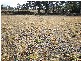 Wallerawang NSW 2845