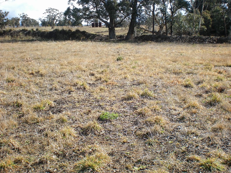 Wallerawang NSW 2845