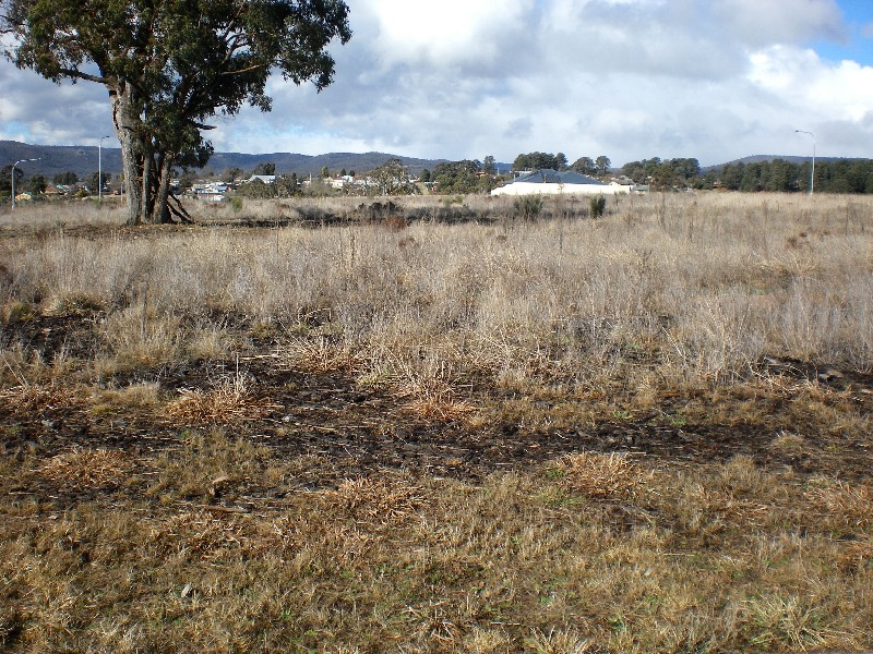 51 Henning Crescent, Wallerawang NSW 2845