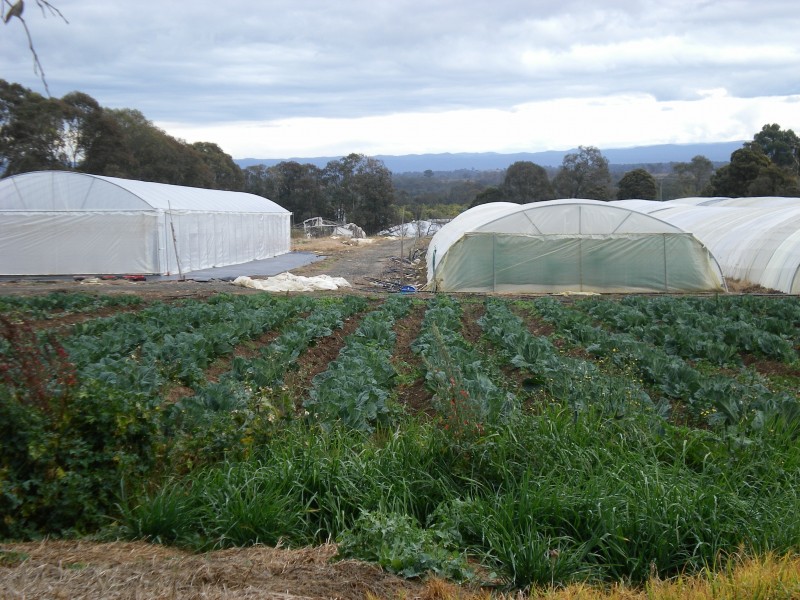 Kemps Creek NSW 2178