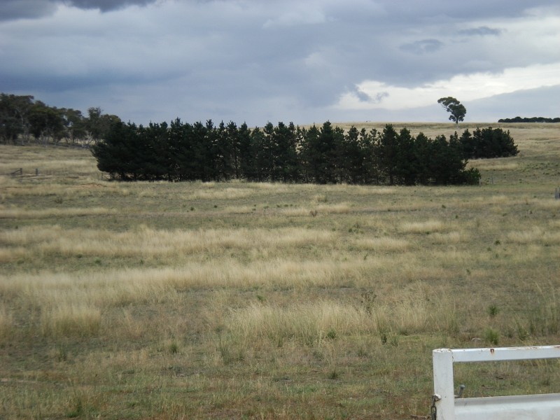 Woodhouselee NSW 2580