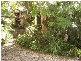 43 Riverside Drive, Mullumbimby NSW 2482
