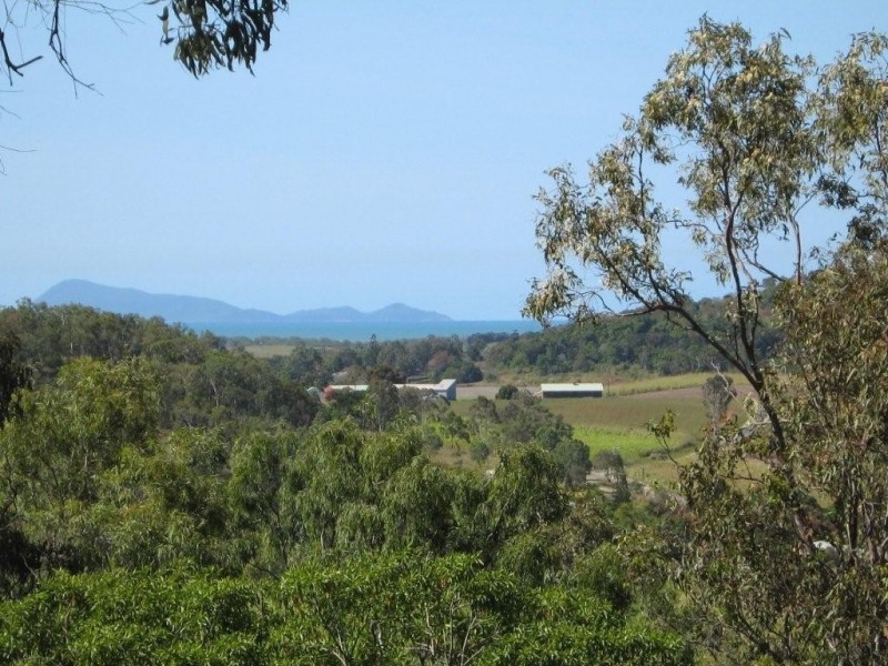 L Yakapari Habana Road, Habana QLD 4740