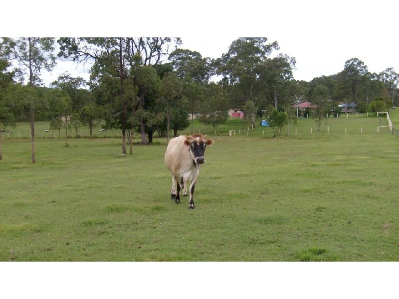 Copmanhurst NSW 2460