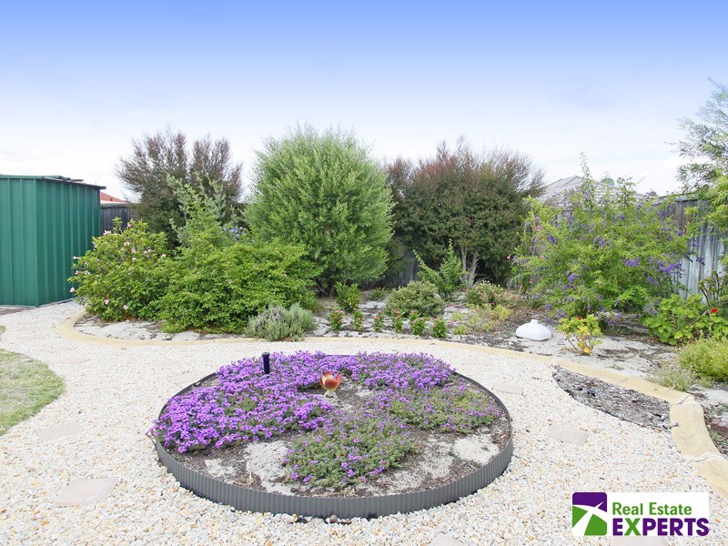 11 Angophora Avenue, Ellenbrook WA 6069