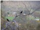 Lot 602 Crestmoor Pass, Bullsbrook WA 6084