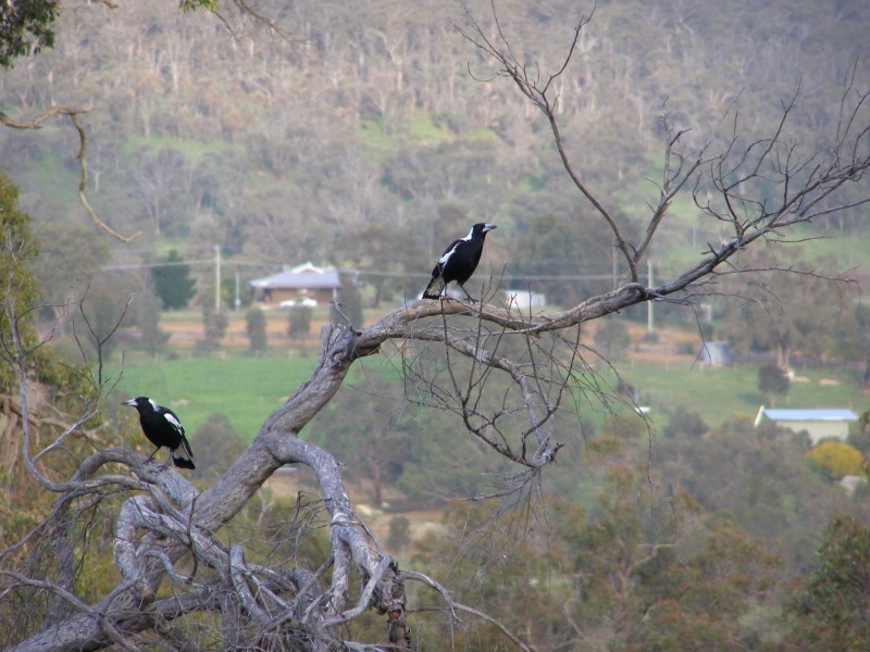 Lot 602 Crestmoor Pass, Bullsbrook WA 6084