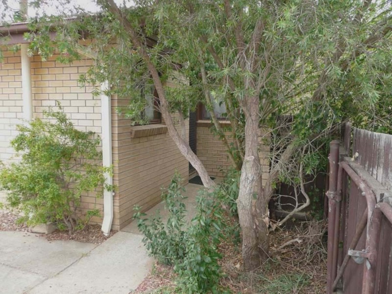 37 Levine, Evatt ACT 2617