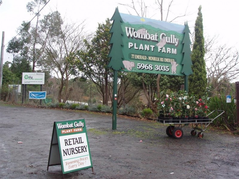 Emerald VIC 3782