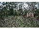 8 St James Ave, Kallista VIC 3791