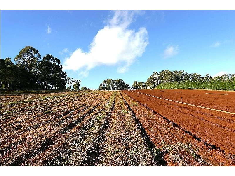 230 Old Emerald Road, Monbulk VIC 3793
