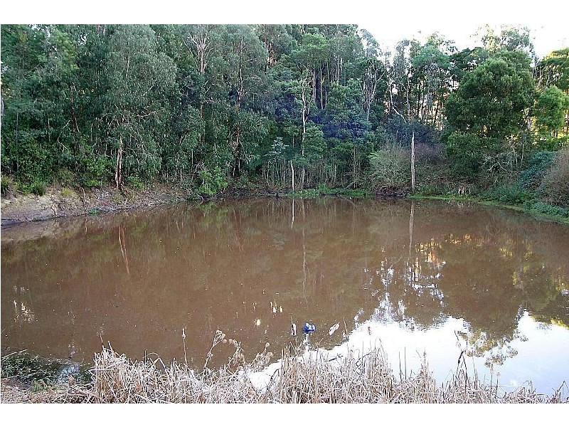 230 Old Emerald Road, Monbulk VIC 3793