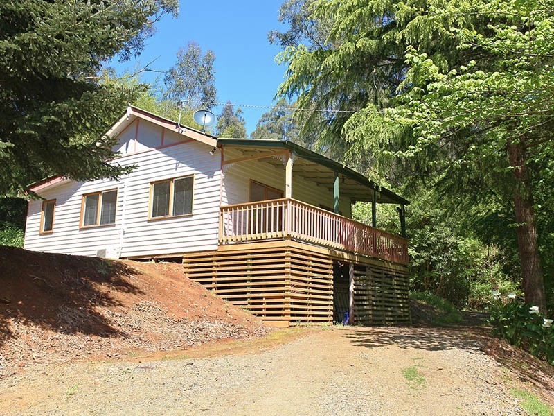 204 Monbulk Road, The Patch VIC 3792