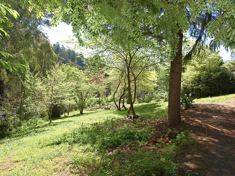 204 Monbulk Road, The Patch VIC 3792