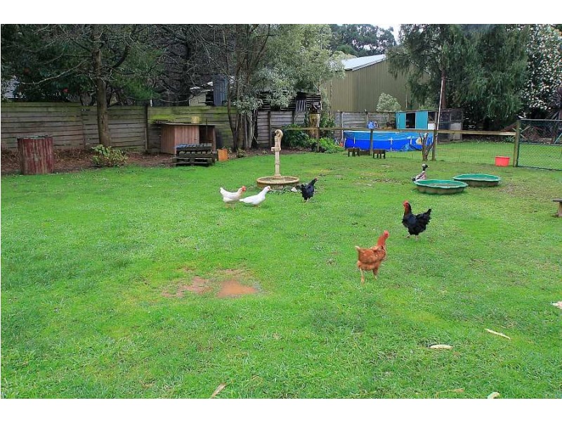 5 Reservoir Rd, Monbulk VIC 3793