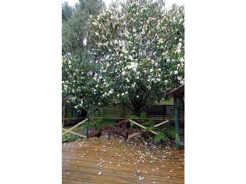 5 Reservoir Rd, Monbulk VIC 3793