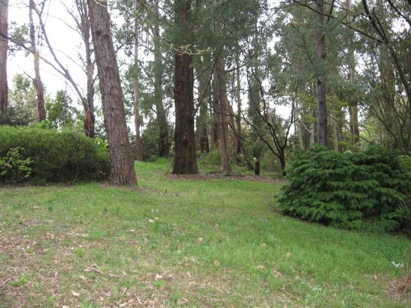 7a Braeside Ave, Monbulk VIC 3793