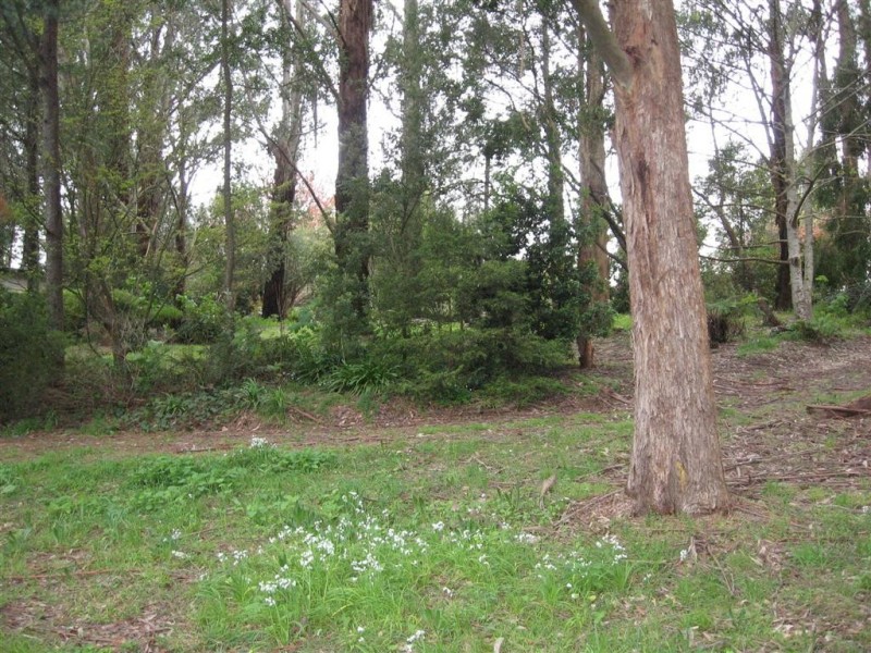 7a Braeside Ave, Monbulk VIC 3793
