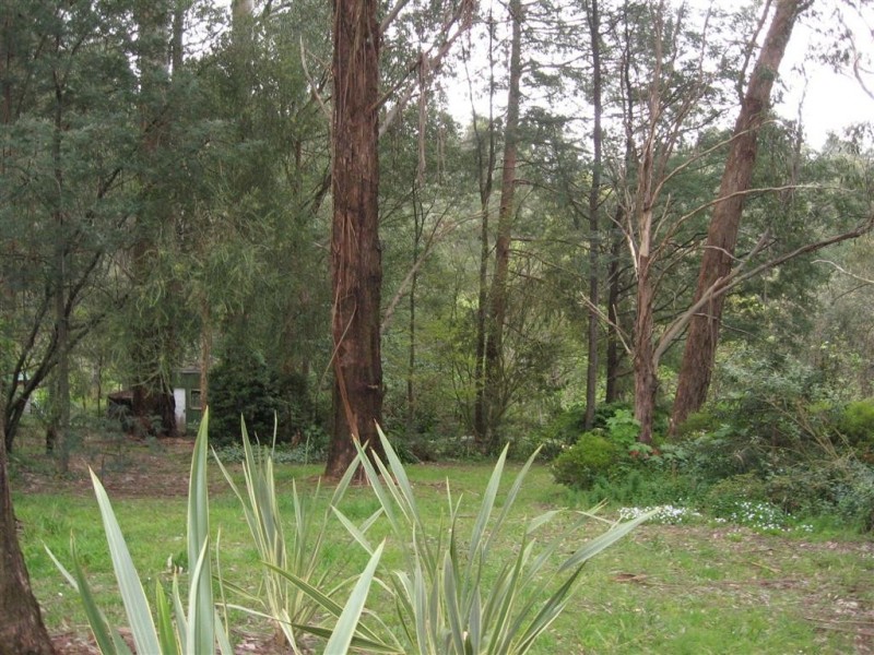 7a Braeside Ave, Monbulk VIC 3793