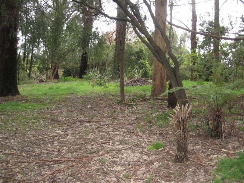 7a Braeside Ave, Monbulk VIC 3793