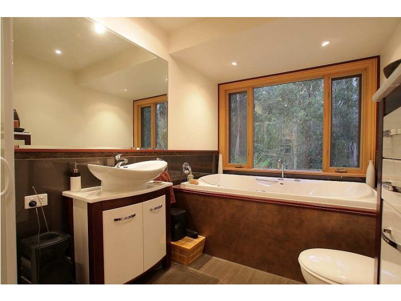 151 David Hill Rd, Monbulk VIC 3793