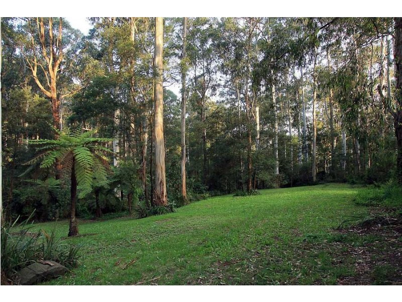 151 David Hill Rd, Monbulk VIC 3793