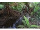 151 David Hill Rd, Monbulk VIC 3793