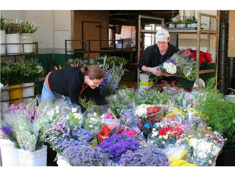 172 Old Emerald Rd, Monbulk VIC 3793