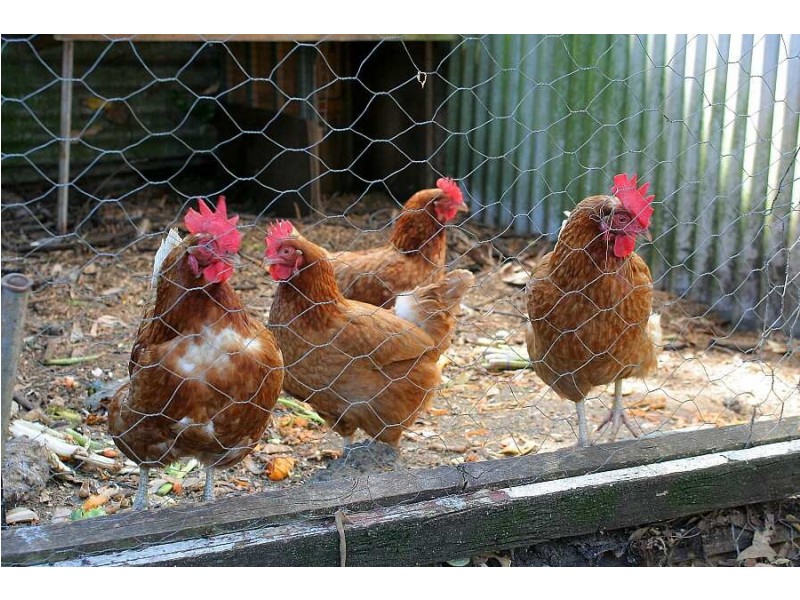 172 Old Emerald Rd, Monbulk VIC 3793