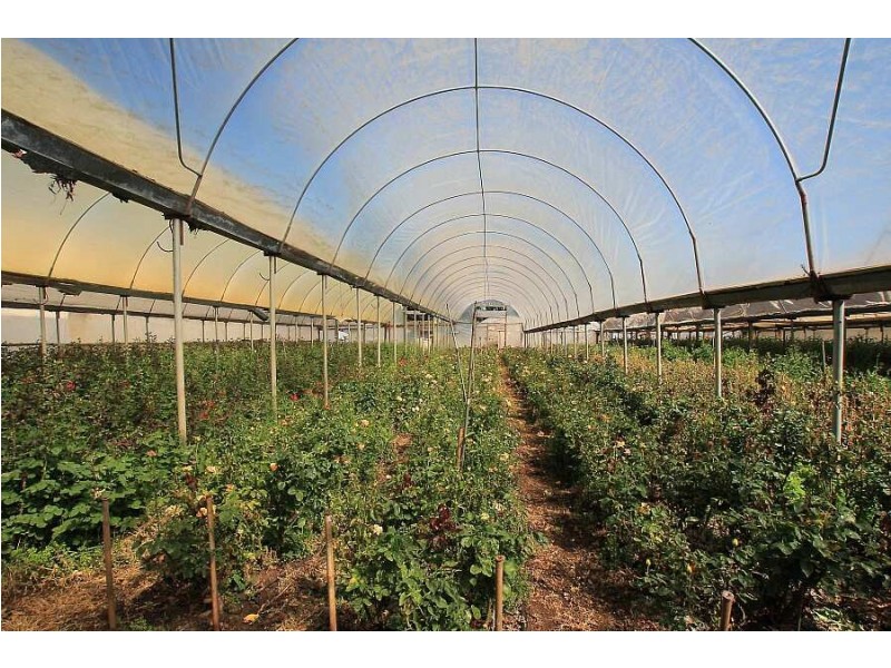 172 Old Emerald Rd, Monbulk VIC 3793