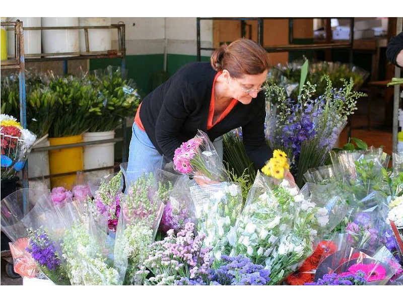 172 Old Emerald Rd, Monbulk VIC 3793