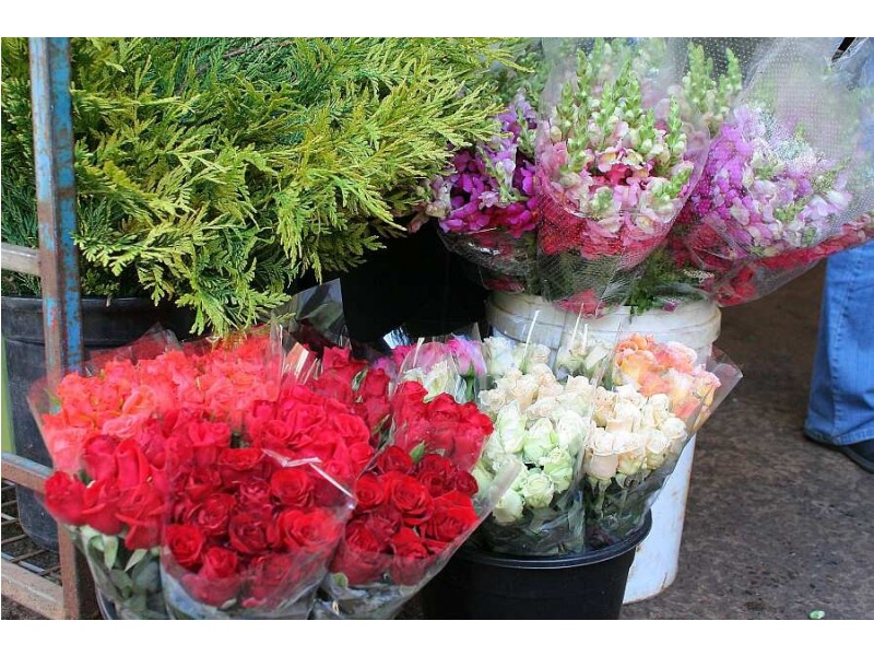 172 Old Emerald Rd, Monbulk VIC 3793