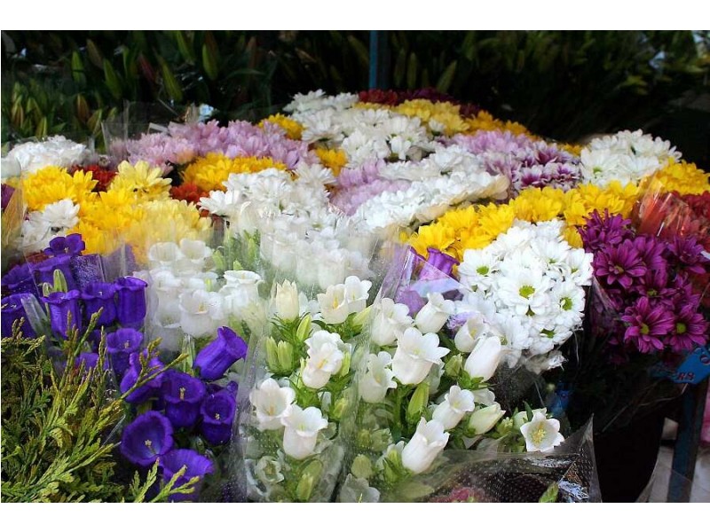 172 Old Emerald Rd, Monbulk VIC 3793